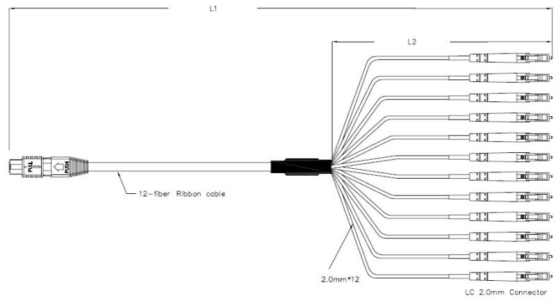 12 Cores MPO Mu Harness & Fan out Cable Assemblies