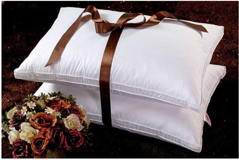 White Goose Down Pillow for Hotel