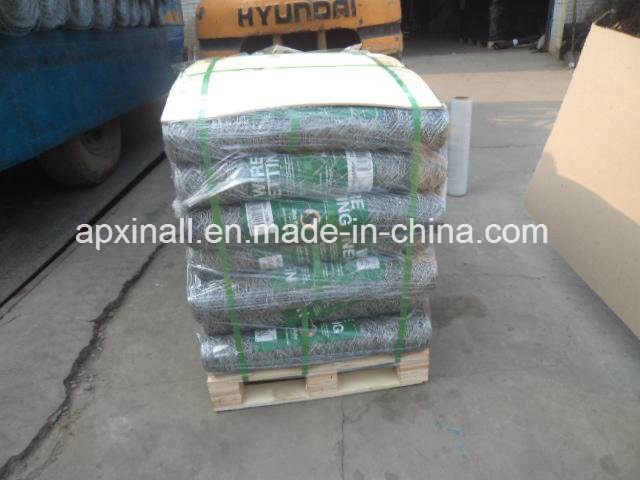 Hexagonal Wire Netting for Honduras (XA-HM401)