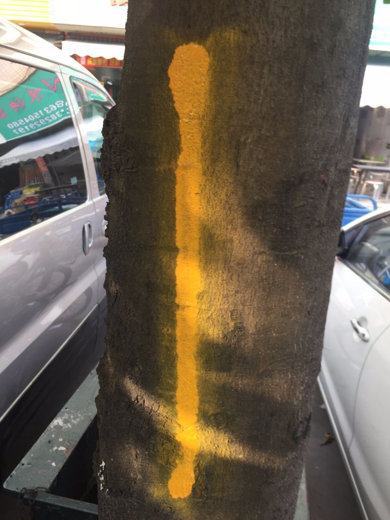 Tree Marker Forest Marker Tree Marking Spray Paint