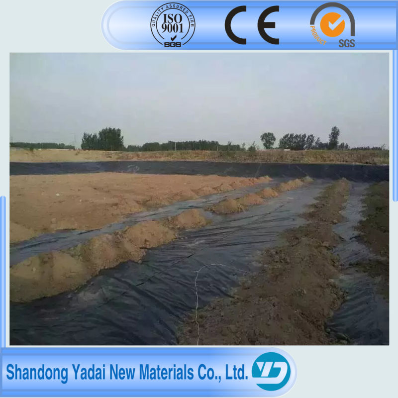 High Quality Artificial Lake Membrane Liner with ISO Certificate