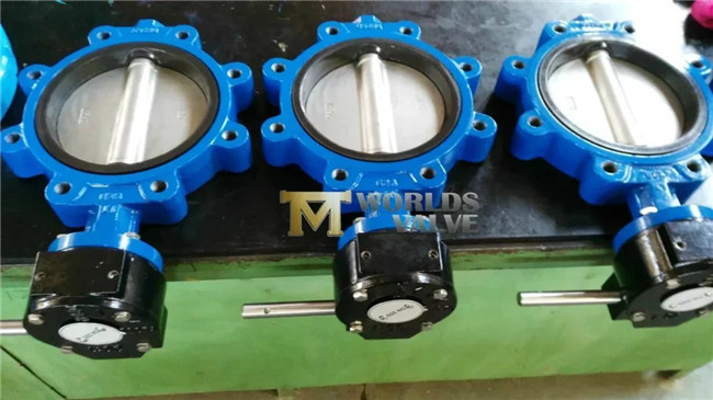 Worm Geare Resilient Seat Lug Butterfly Valve (D7L1X-10/16)