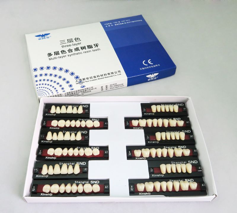 R101 Three-Layer Synthetic Resin Teeth