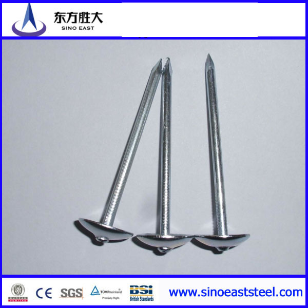 Q195 or Q235 Iron Nails