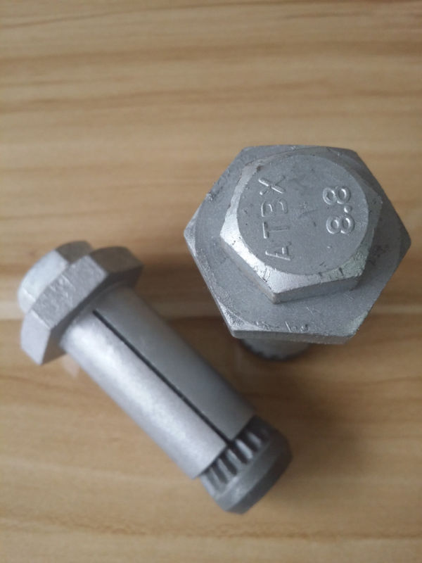 Expansion Anchor Bolt and Wood Anchor Bolt