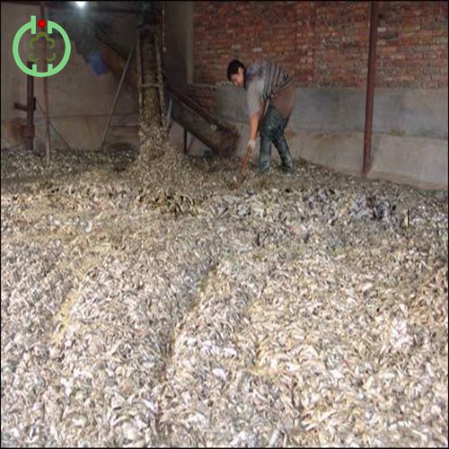 Feed Grade Fish Meal Poultry Food Animal Protein Fodder