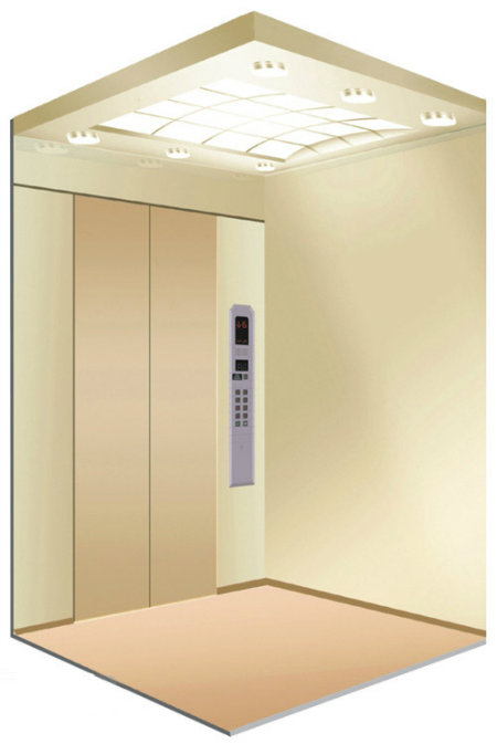 Warm House Elevator for Home Using (LL-114)