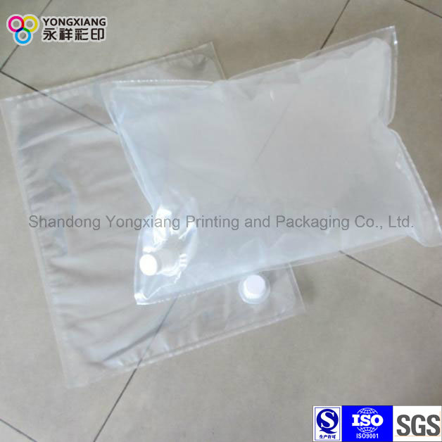 White Transparent Bag in Box