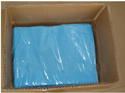 Hospital Disposable Bed Sheet (FL-005)