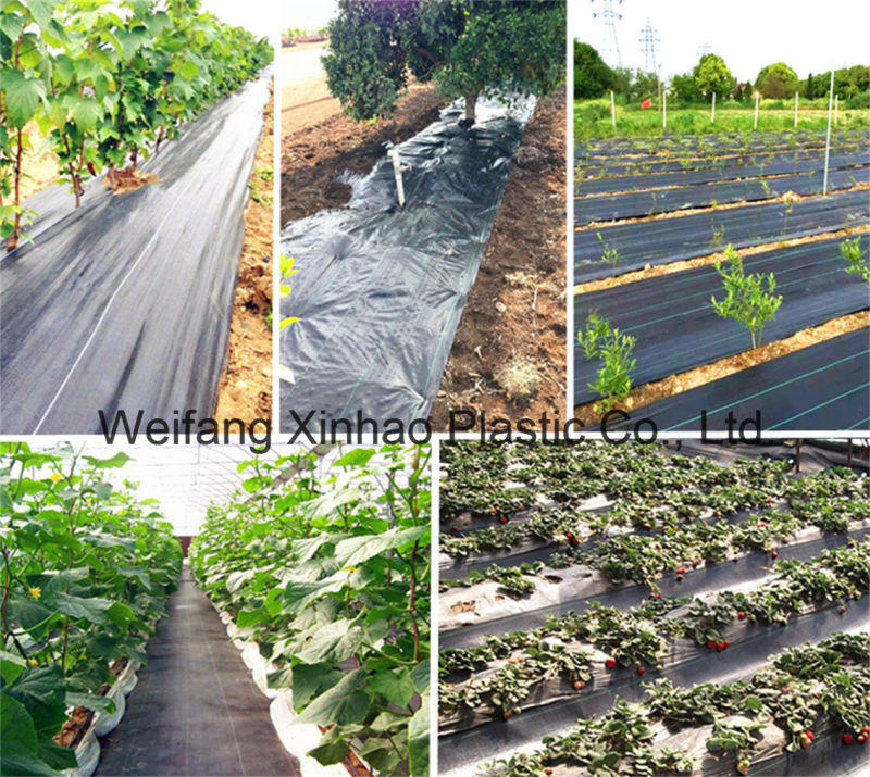 PP PE Woven Weed Control Mat