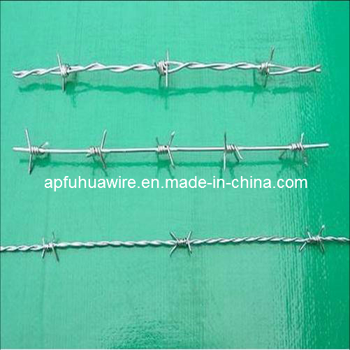 Barbed Wire Fence (Galvanized and PVC Coated)