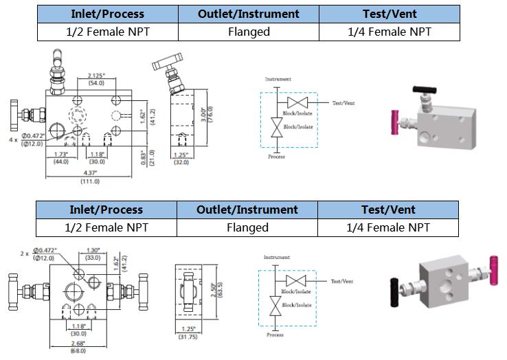 Stainless Steel Female Intrument Valve Manifold