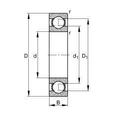 Needle Roller Bearing 4924