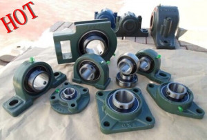 Hot Sell Pillow Block Bearings /Ucx Bearings (UCX206)