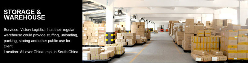 Professional Logistics Shipping/Shipping Service From China (Shipping Service)