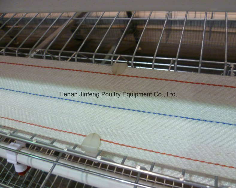 Automatic Chicken Cage Henhouse Poultry Equipment