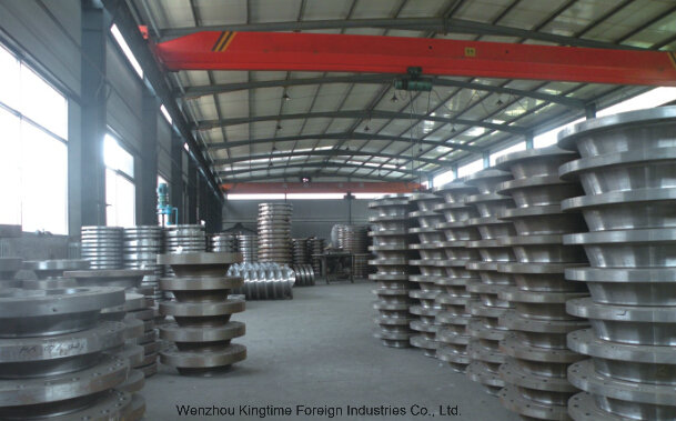 ASTM A182 F316L Stainless Steel Weld Neck Flange (KT0229)