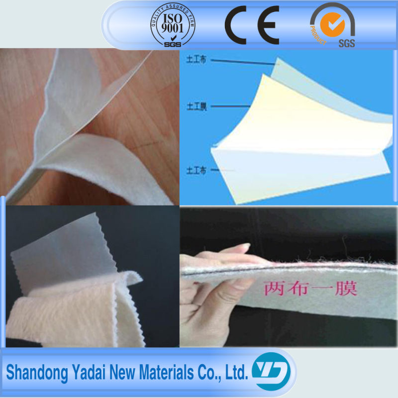 Ce Approved Compound Geomembrane Fabric for Sale