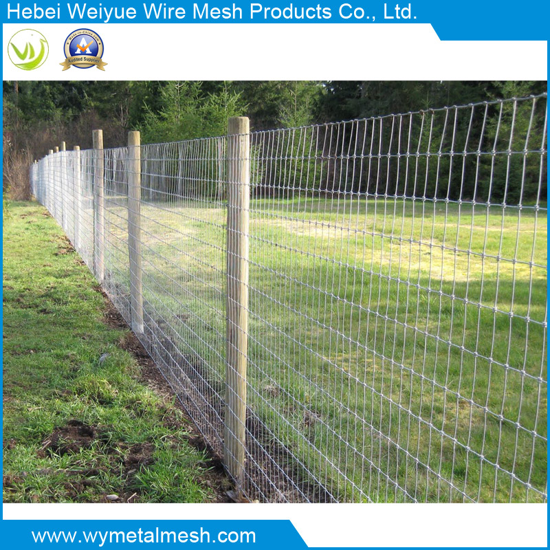 Galvanized Field Fence for Animal