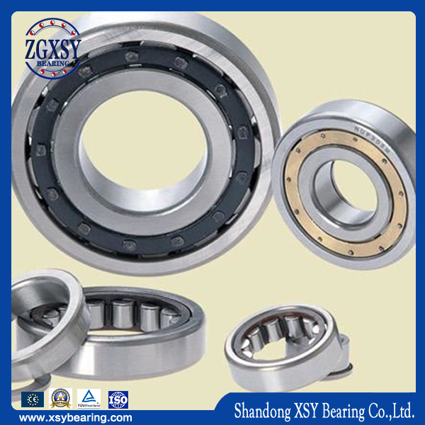 Nup Series Cylindrical Roller Bearing