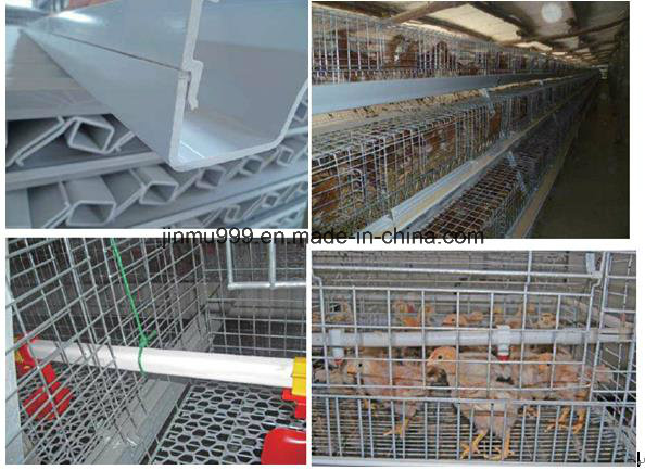 Automatic Poultry Equipment Chicken Cage for Farm Use