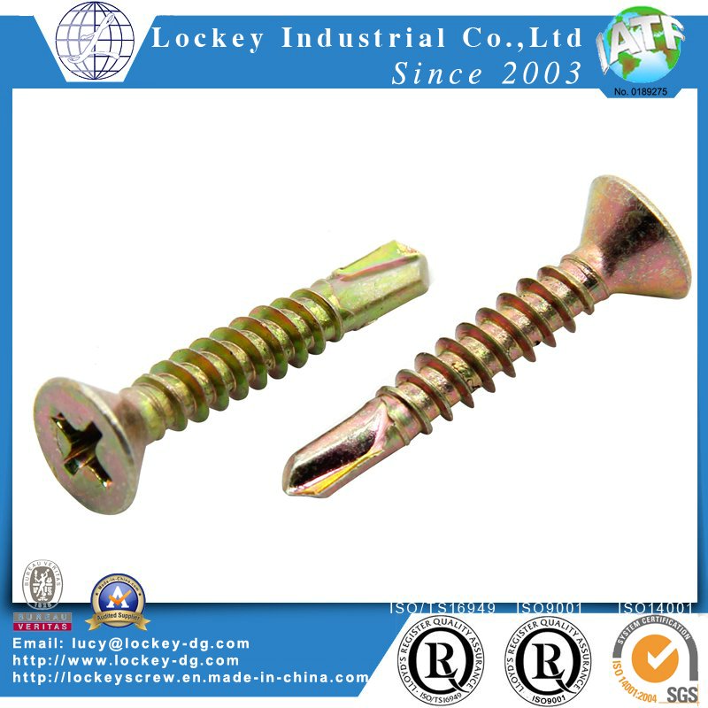 Pan Head Self Drilling Screw/Tek Screw with Phillips Drive