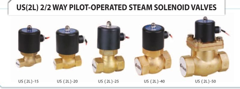 Us (2L) 2 Way Brass Steam Solenoid Valve