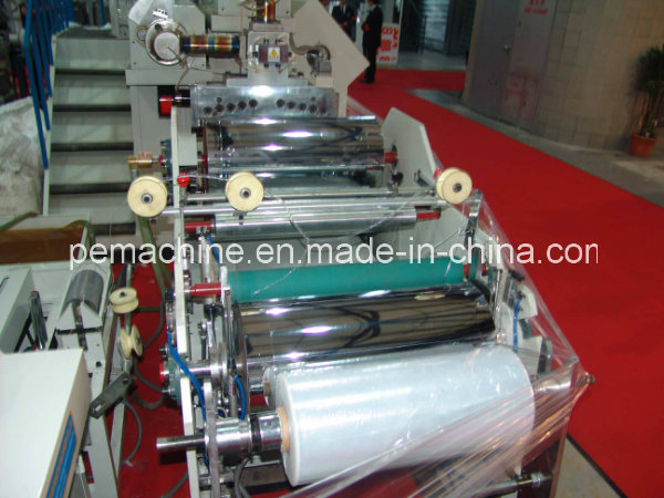 Df-1000 Double Layers Co-Extrusion Stretch Film Machine (CE)