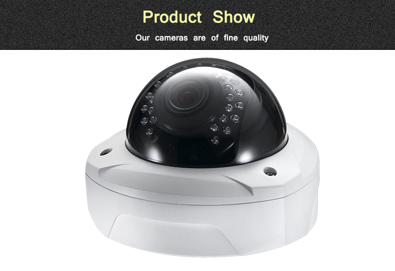 2.0MP Auto Focus IP Infrared Dome Network CCTV Security Camera (SVN-DAS5200PAF)