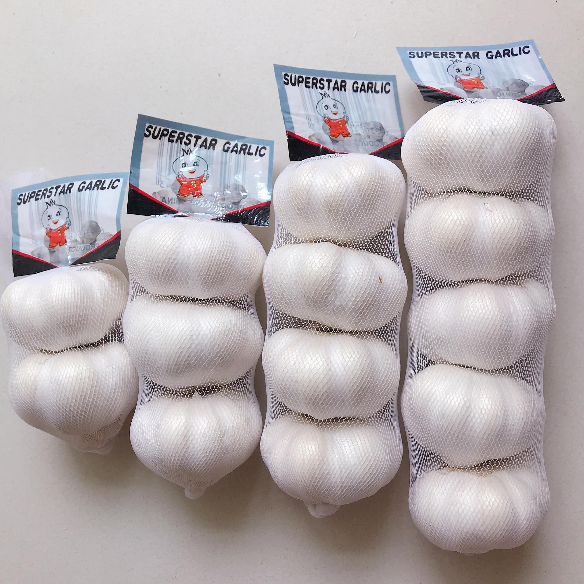 High quality fresh garlic new crop fresh garlic High quality fresh garlic new crop fresh garlic