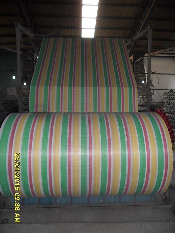 PP/PE Fabric Roll with Colorful Strip