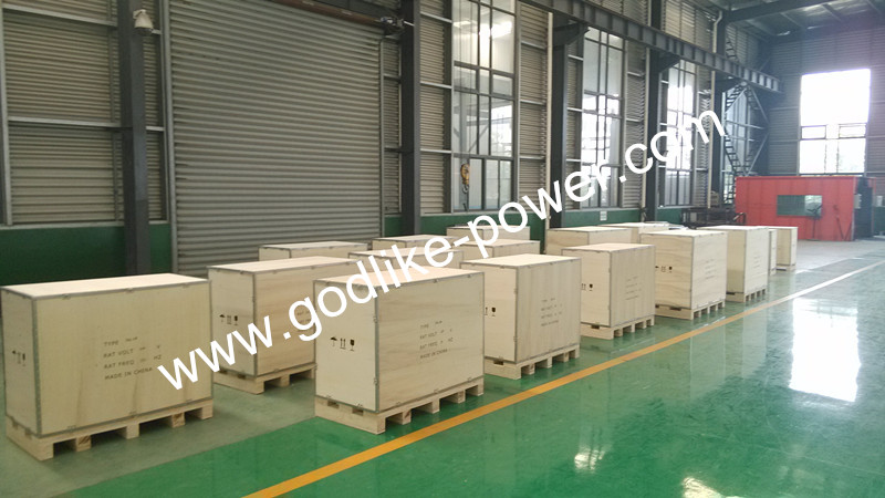 CE, ISO Approved 2 Years Warranty 80kw/100kVA Alternator (JDG224E)