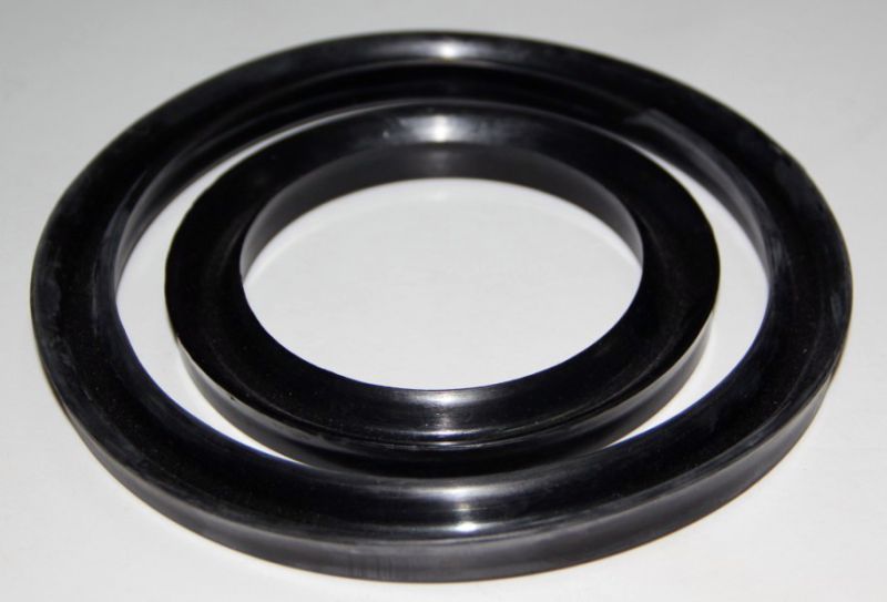 Y Shape Oil Seals for Cylinder