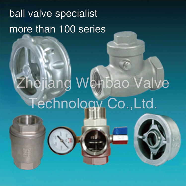 DIN Stainless Steel Wafer Check Valve with CF8 for Industry