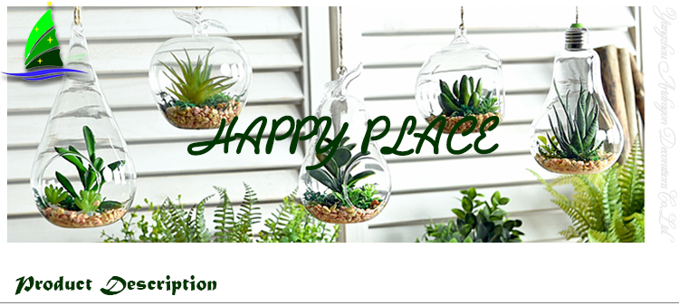 Hanging Clear Glass Succulent Flowerpot Container