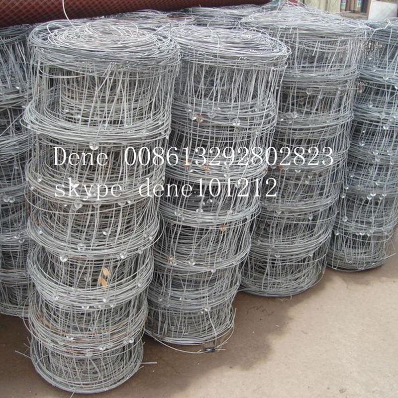 Farm Fence/Sheep Fence/Cattle Fence/High Quality and Low Price