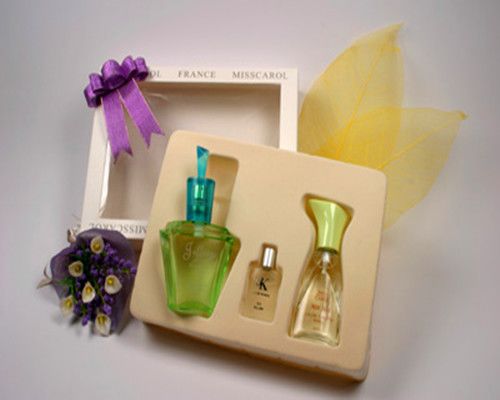 Plastic Blister Tray for Perfume