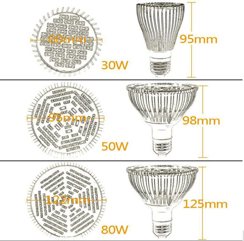 Full Spectrum 30W 50W 80W LED Grow Lights E27 Horticulture Garden Flowering Hydroponics Vegetables Plant Lamps