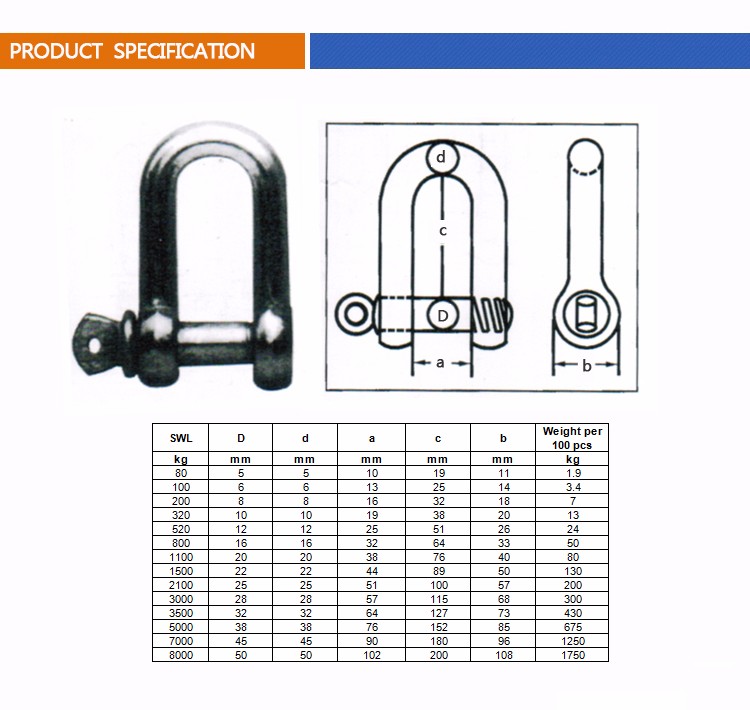 European Type Drop Forged Dee Shackle