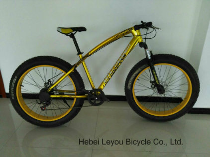 Ly-C-610 China Good Quality Fat Bicycles