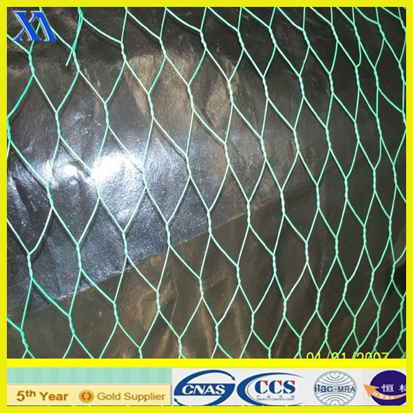 PVC Green Wire Garden Chicken Wire Netting (XA-HM415)