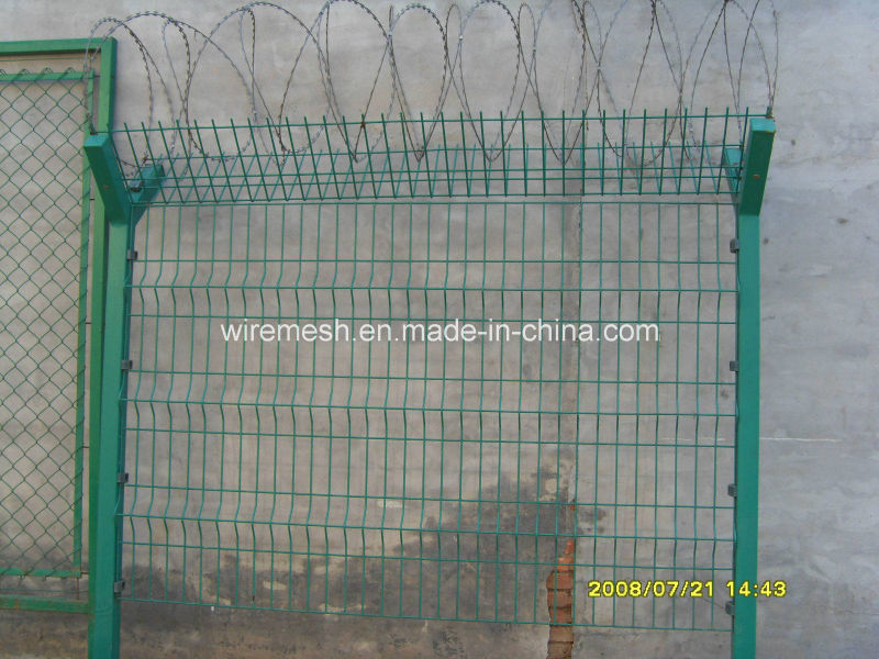 Animal Protection Security Galvanized Welded Wire Mesh Fence