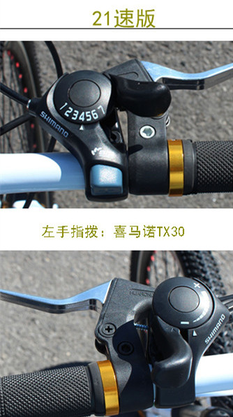 High Quality Cheap Price Mountain Bike/Bicycle Wholesale