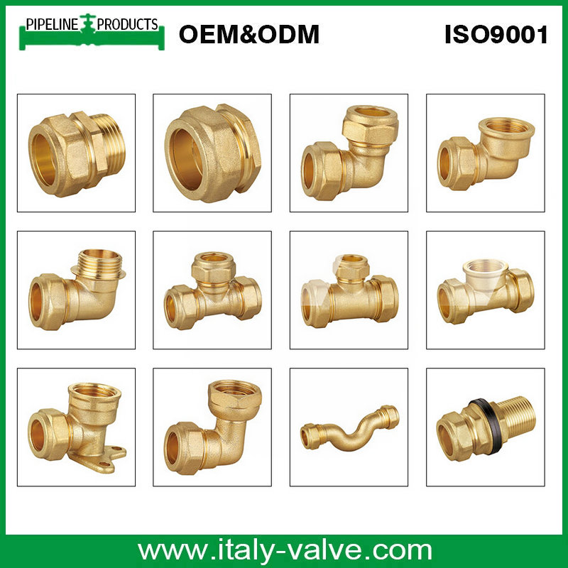 Brass Straight Coupling with Compression End (AV7001)