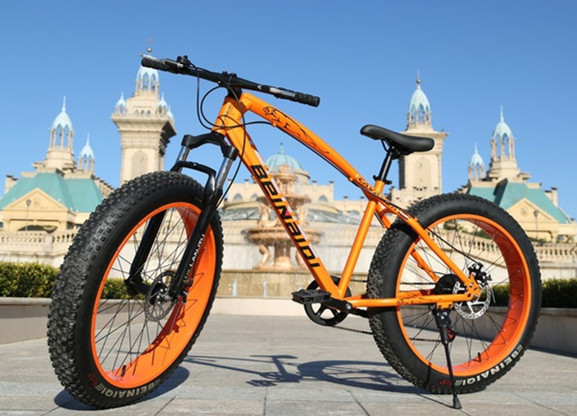 Fat Bike/Fat Beach Bike/Fat Sand Bike/Fat a/T Bike/Fat Snow Bike