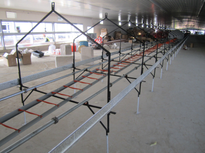 Laying Nest Equipments for Chicken Breeder