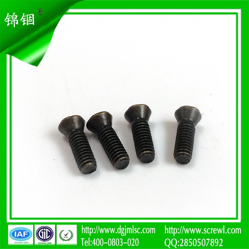 Torx Countersunk Head Bronze Screw