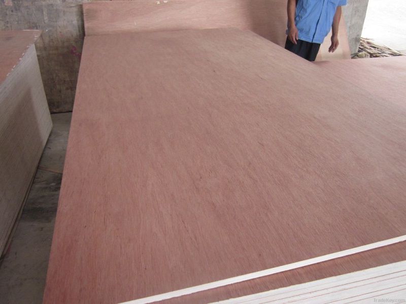 Bintagor/ Okoume/ Pencil Cedar Commercial Plywood