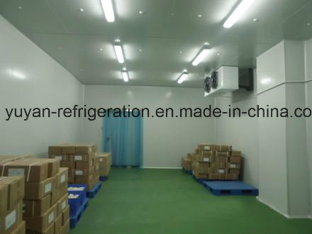 CE Approved Freezer Room with Food Grade