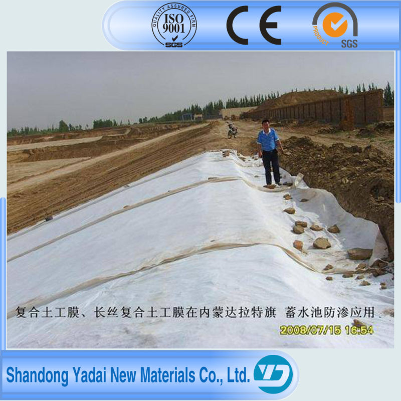 Artificial Lake Special Anti-Seepage LDPE Geomembrane